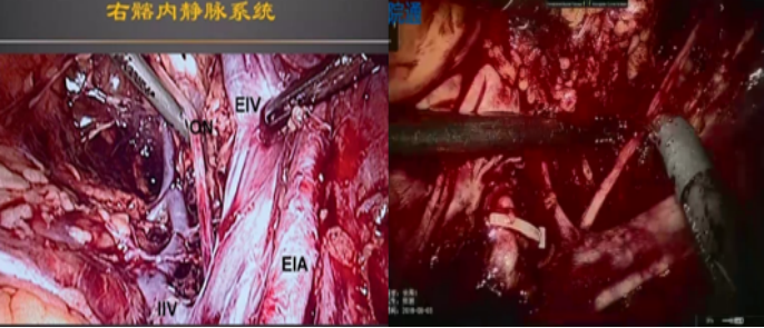 图片81.png