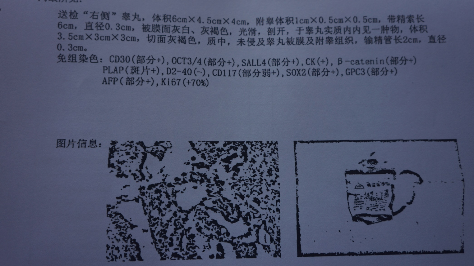 1686376945505853.png 图片 1.png