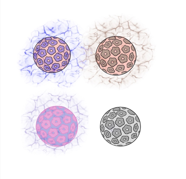 微信图片_20230628143910.png