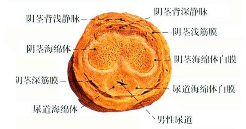 微信图片_20230803104845_2.png