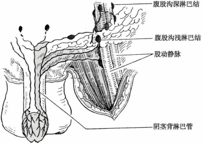 微信图片_20230803104845_3.png