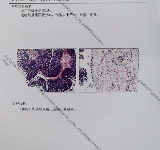 1691128774781190.png 微信图片_20230804135801_1.png