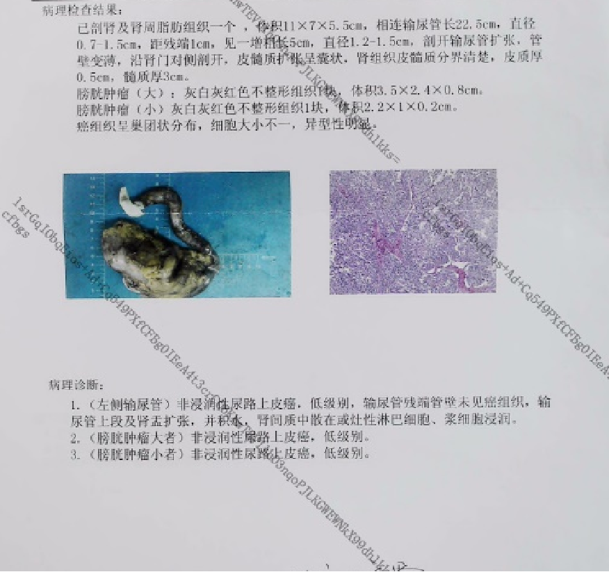 1691128815450795.png 微信图片_20230804135801.png
