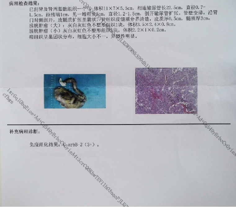 1691128903725659.png 微信图片_20230804135802_1.png