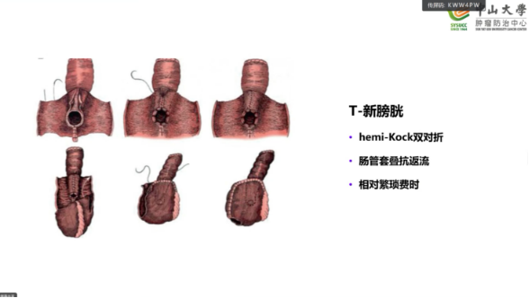 1691129971239192.png 微信图片_20230804141509_7.png