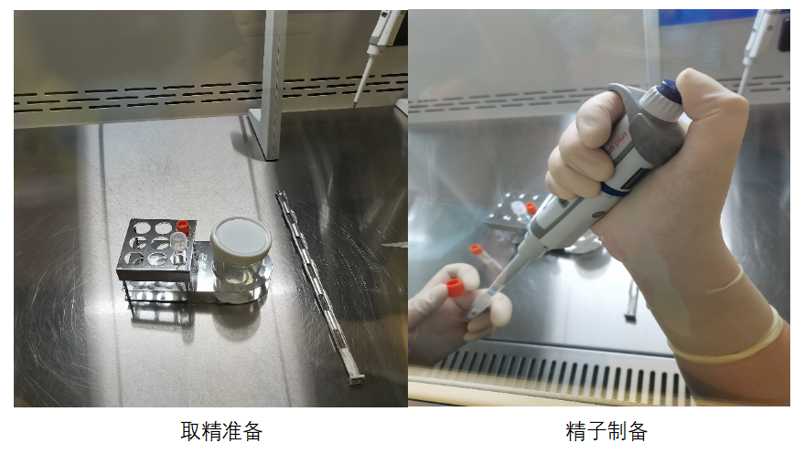 1691131278433869.png 微信图片_20230804144058.png