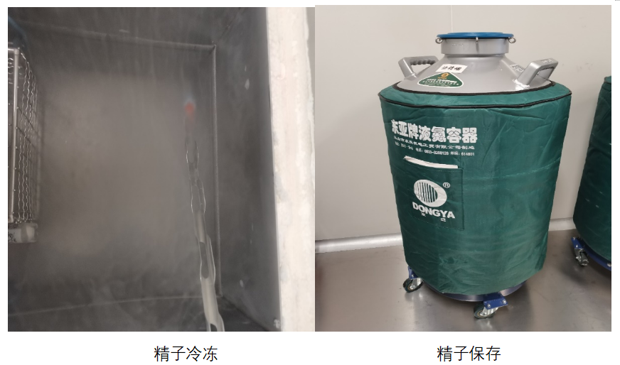1691131284198471.png 微信图片_20230804144058_1.png