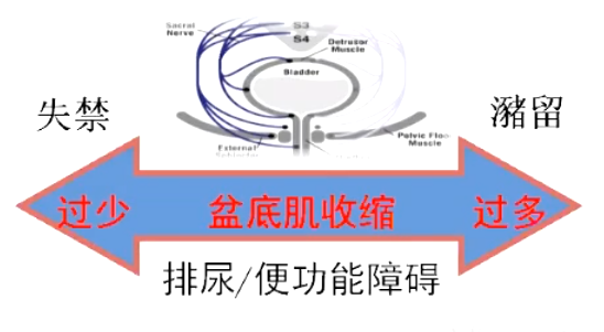 微信图片_20230811113548_2.png