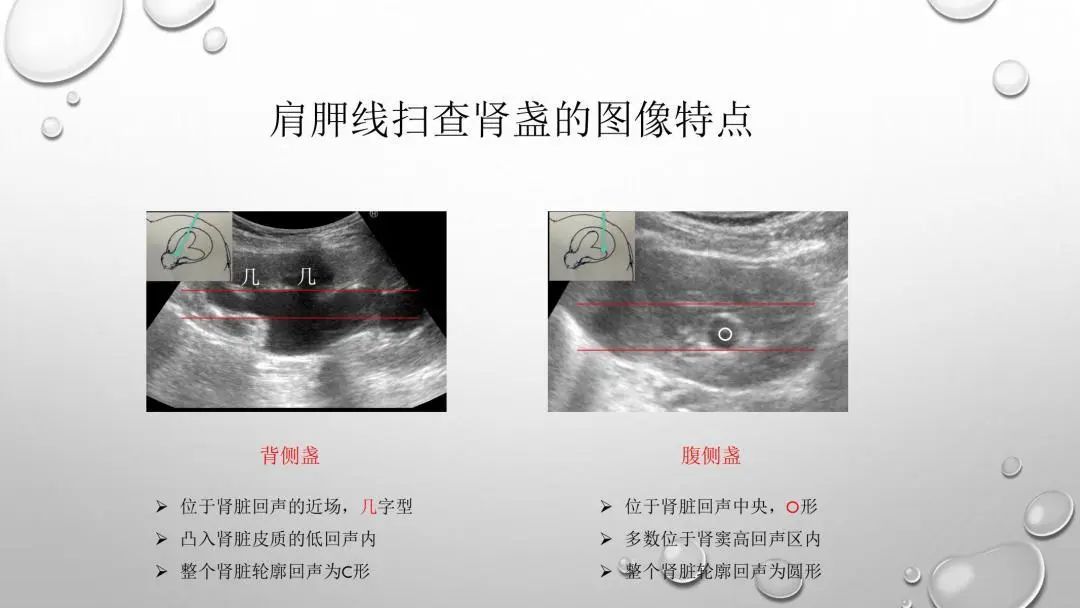 微信图片_20230811141340_1.jpg