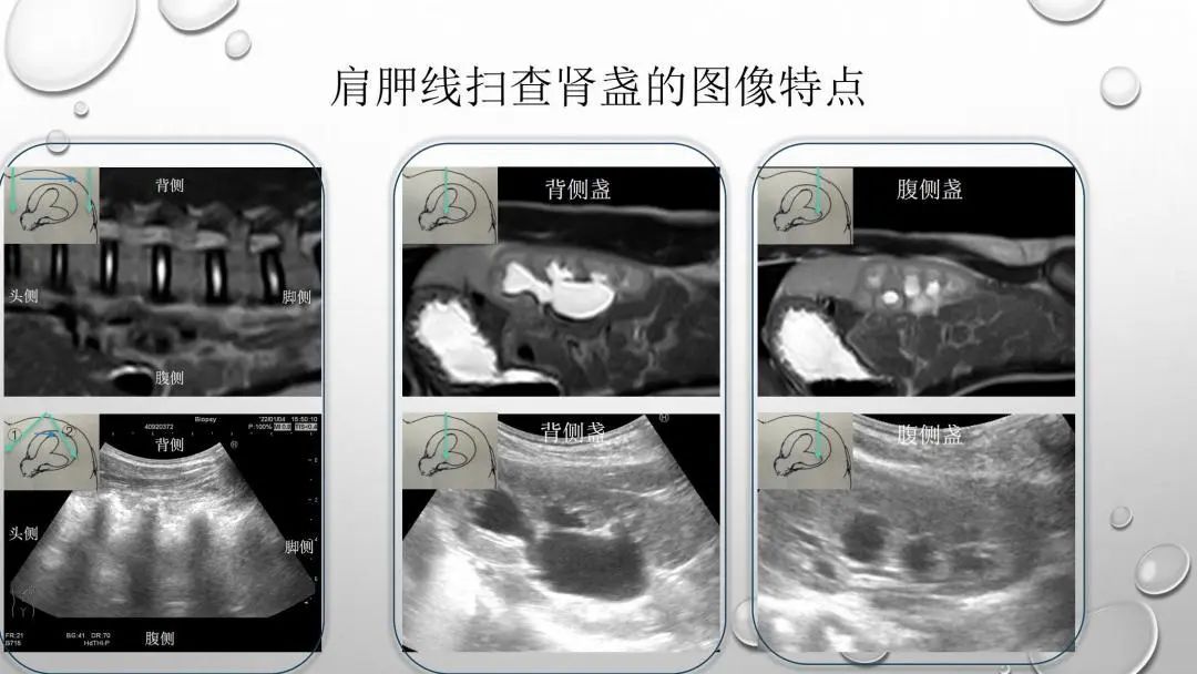 微信图片_20230811141340_2.jpg