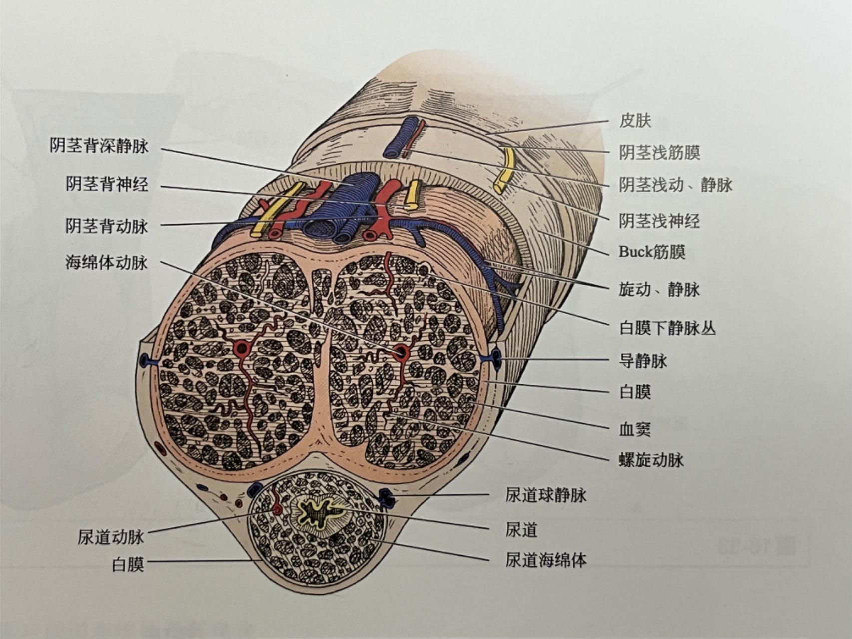 微信图片_20230825142817_1.jpg