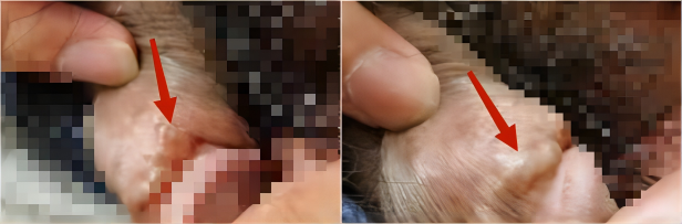 微信图片_20230904150155_1.png