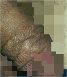 微信图片_20230904150156_3.png