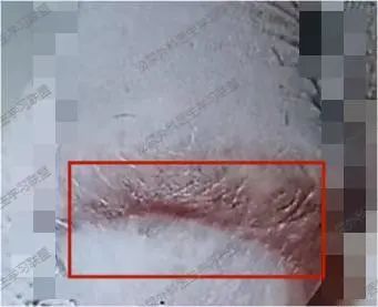1693813230298290.jpg 微信图片_20230904154016.jpg