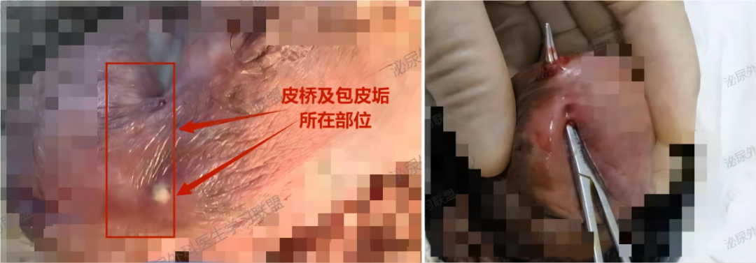 1693813656256136.png 微信图片_20230904154017_1.png