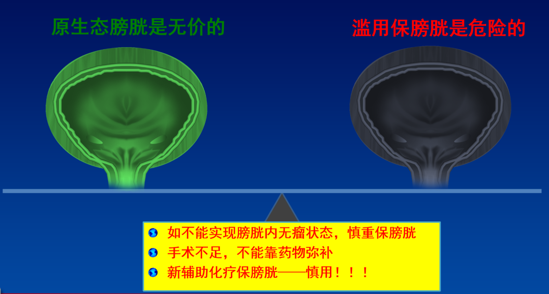 微信图片_20230904155558_4.png