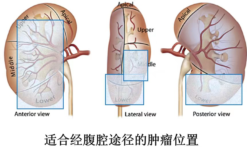 1693964294389230.png 图片9.png