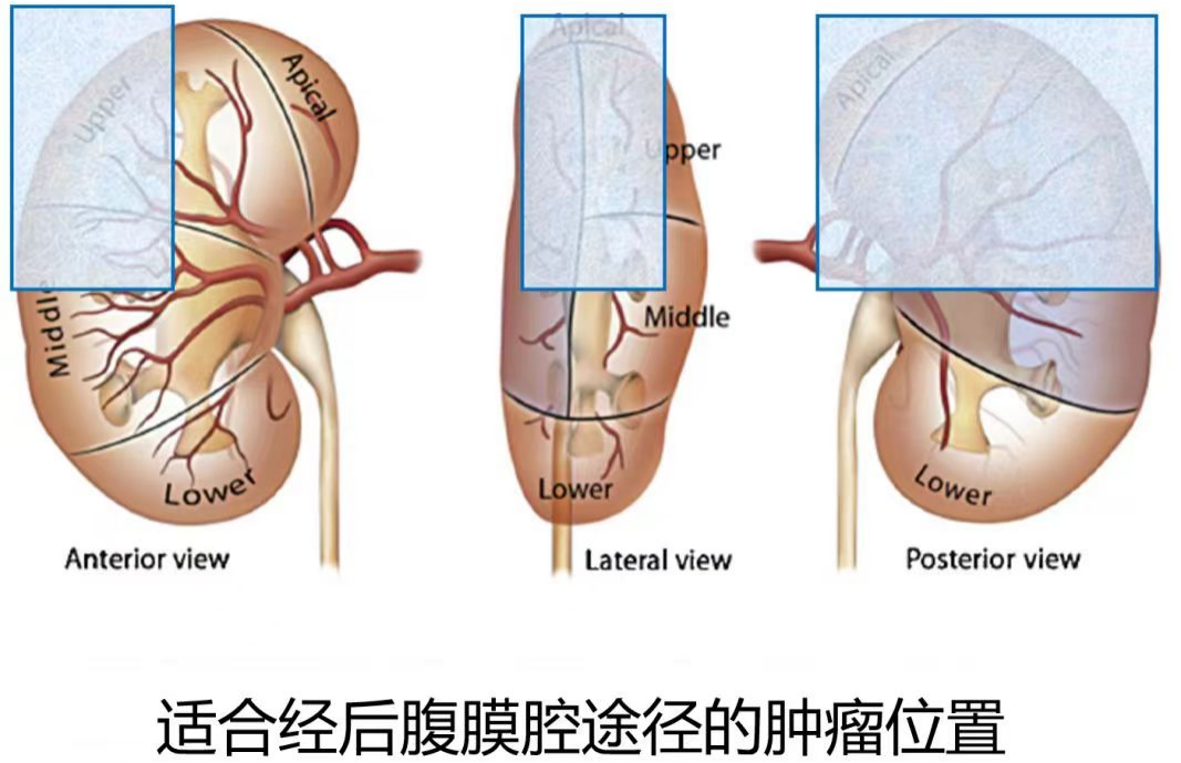 1693964308590695.png 图片10.png