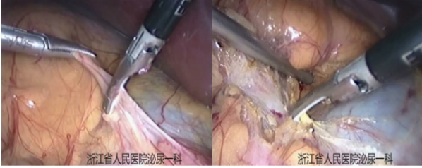1693964510495743.png 图片29.png