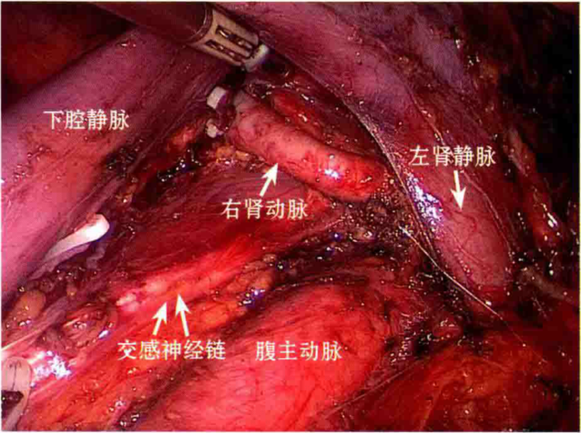 1693964566327820.png 图片36.png