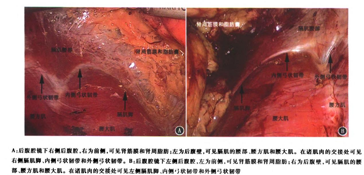 1693964705900933.png 图片46.png