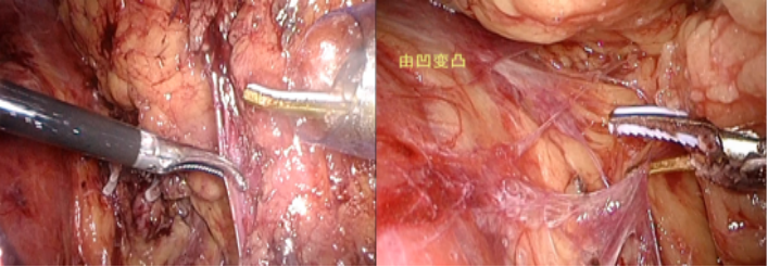 1693964898453968.png 图片48.png