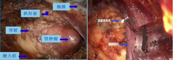 1693965065251262.png 图片54.png