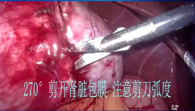 1693965128415504.png 图片59.png