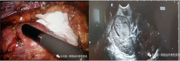 1693965611511146.png 图片67.png