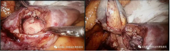 1693965621993800.png 图片68.png