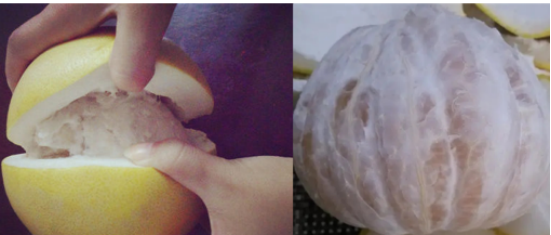 1693965633605123.png 图片69.png