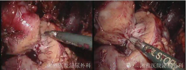 1693966779463304.png 图片76.png