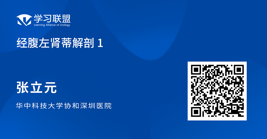 1693992851843249.png 左1.png