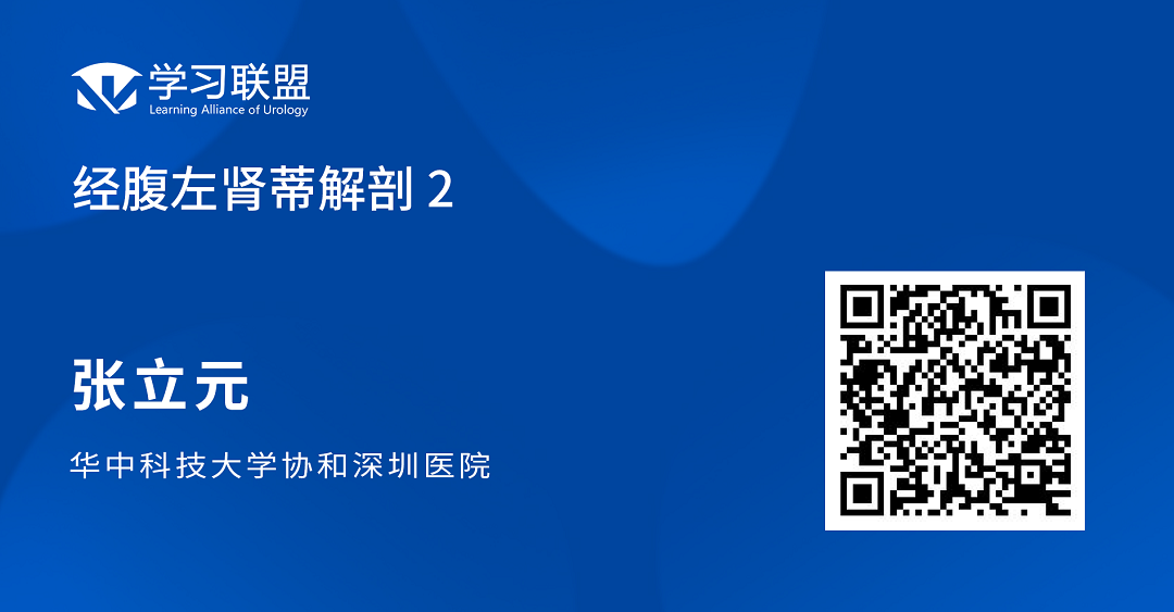 1693992874117631.png 左2.png