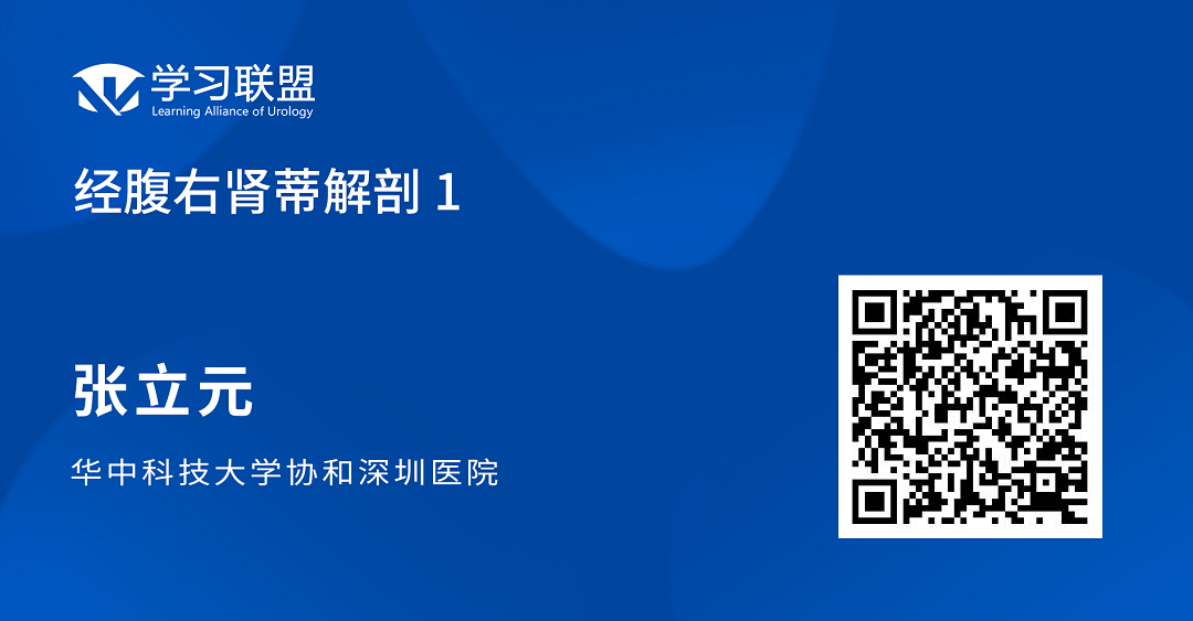 1693992899552309.png 右1.png