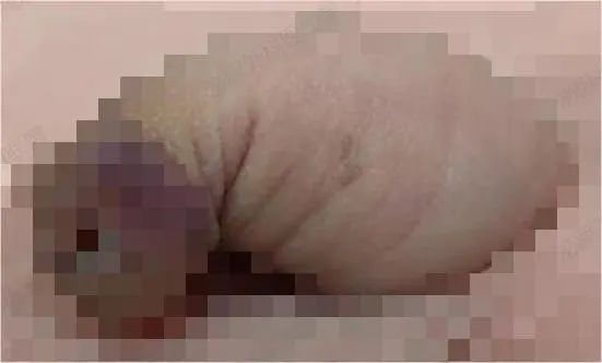 微信图片_20230908095201_1.jpg