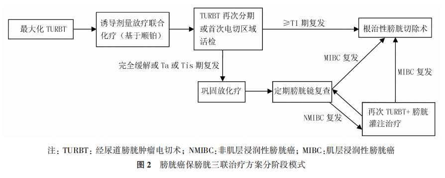 1696821918438992.png 微信图片_20231009112455.png