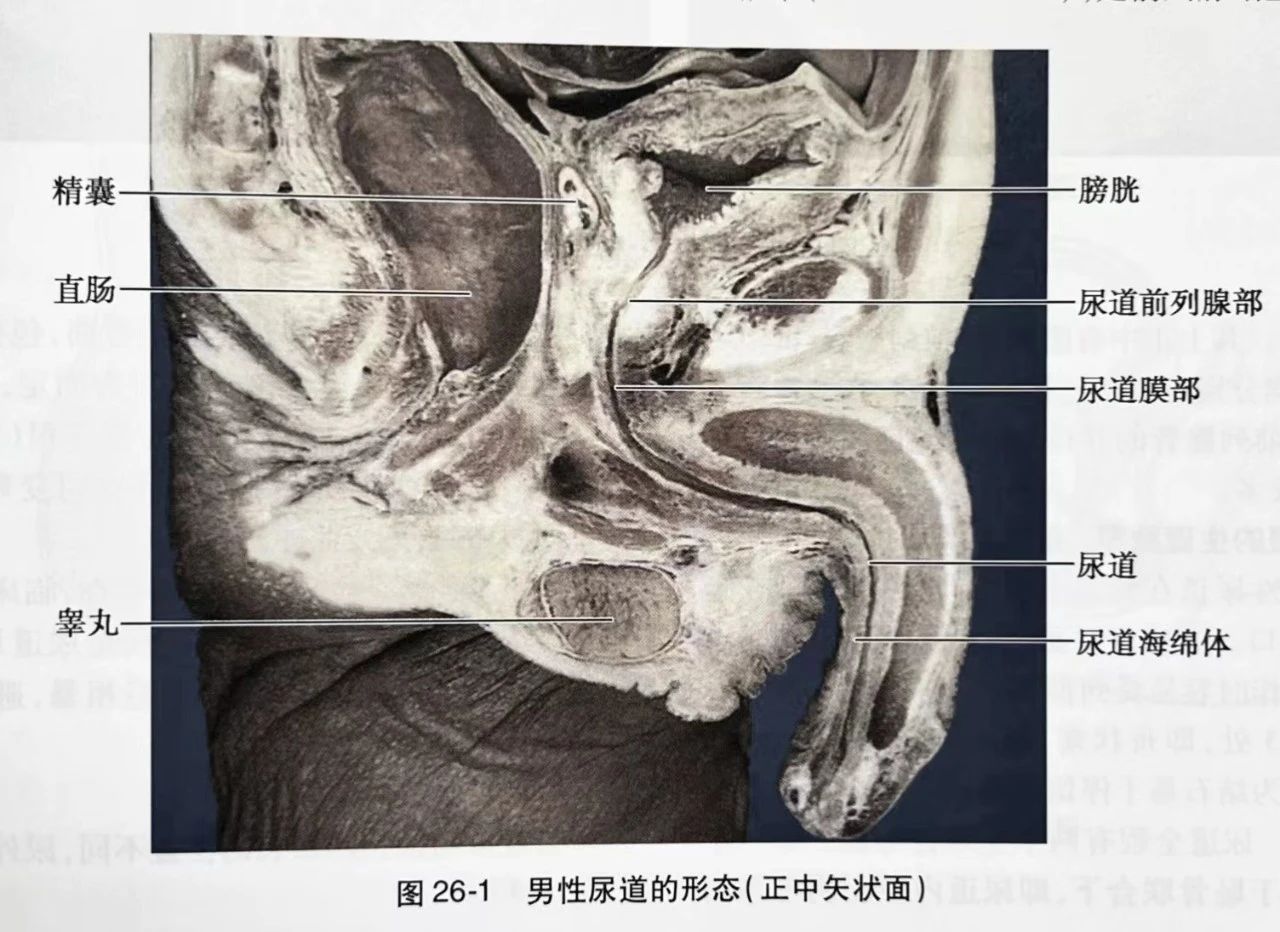 1696823530318562.jpg 微信图片_20231009115155.jpg