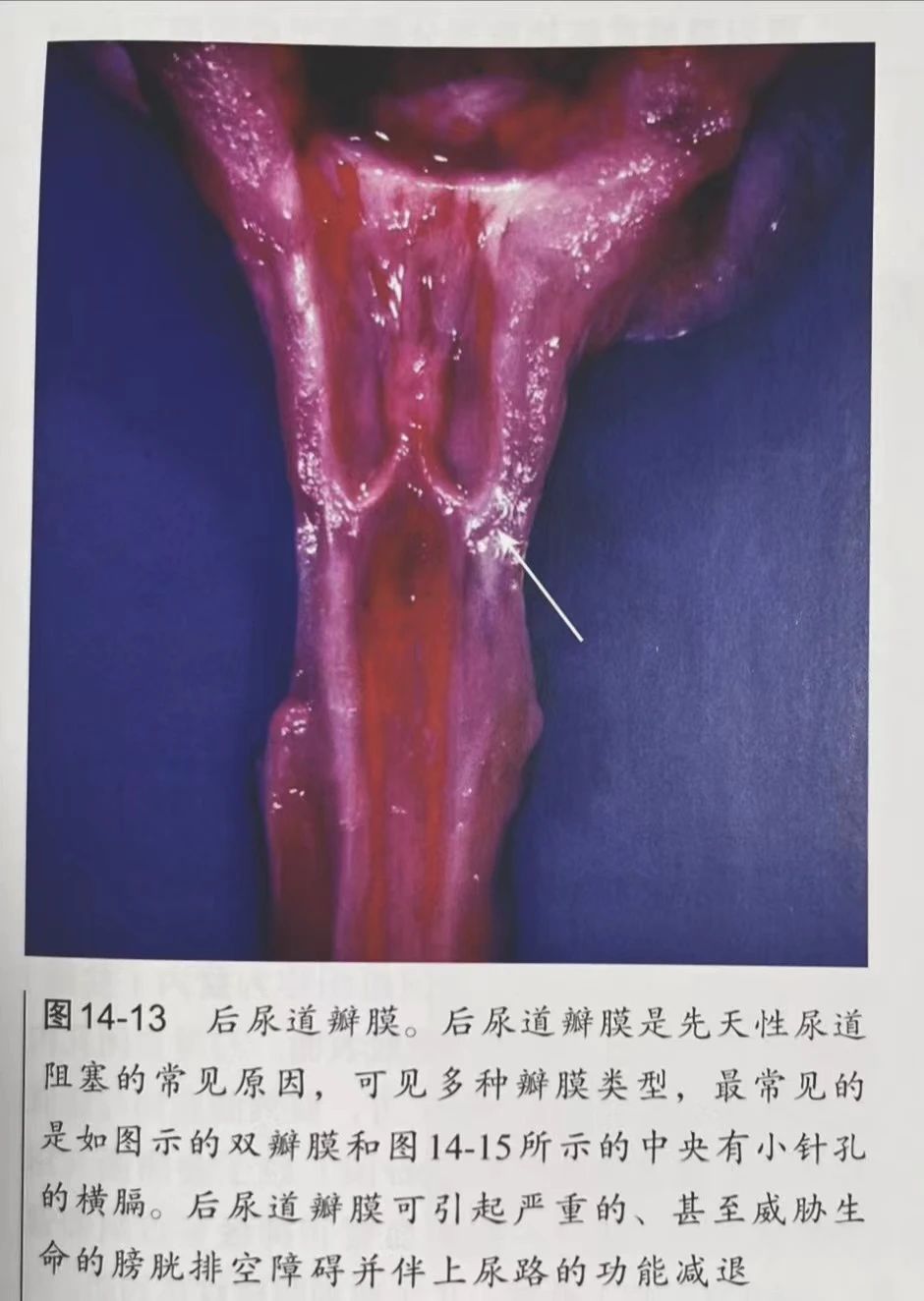 1696823619206581.jpg 微信图片_20231009115314.jpg