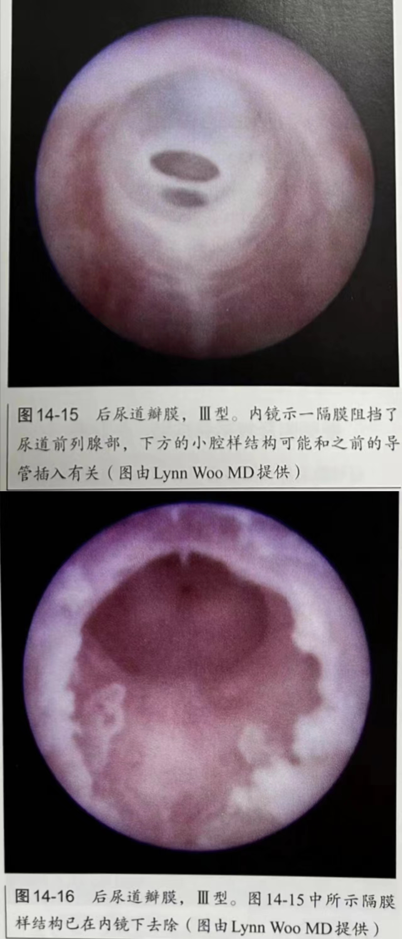 1696823629141002.jpg 微信图片_20231009115316.jpg