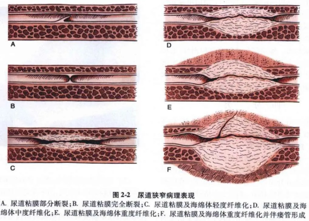 1696837064323583.png 微信图片_20231009153727.png