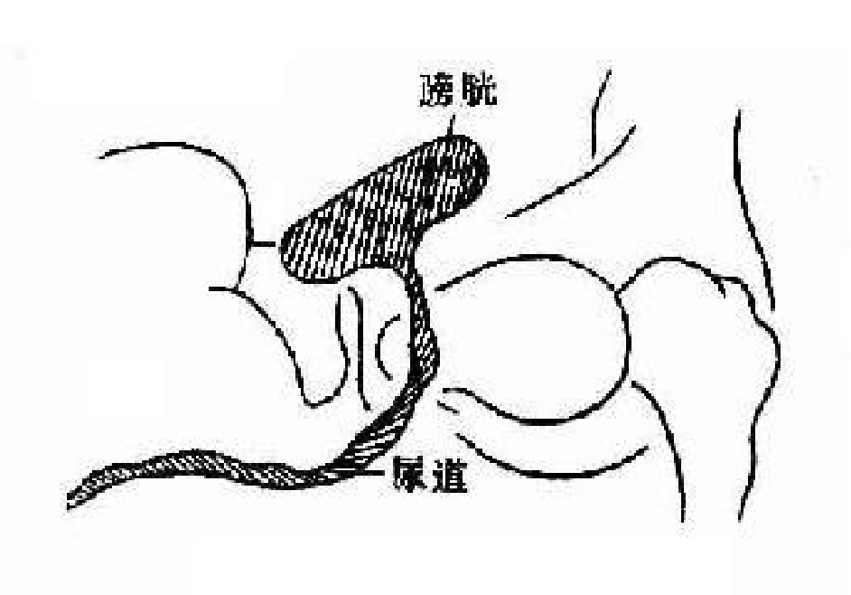 1696837095439169.png 微信图片_20231009153756.png