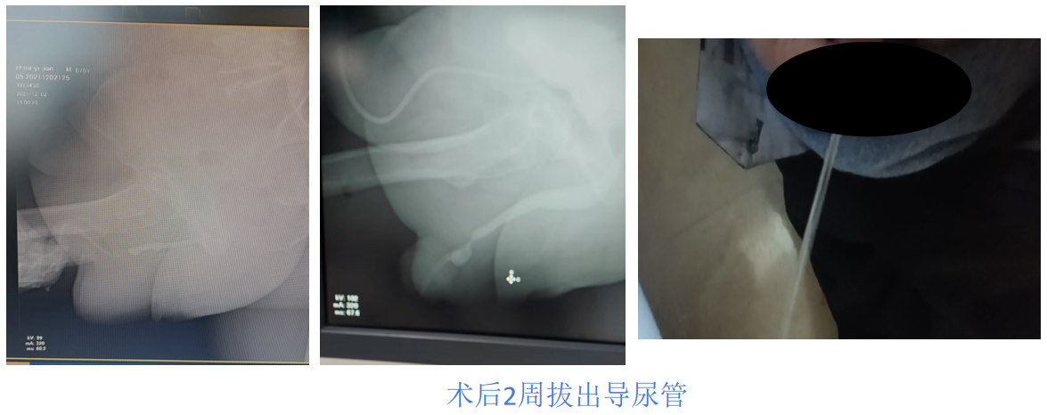 1696837156571202.png 微信图片_20231009153901.png