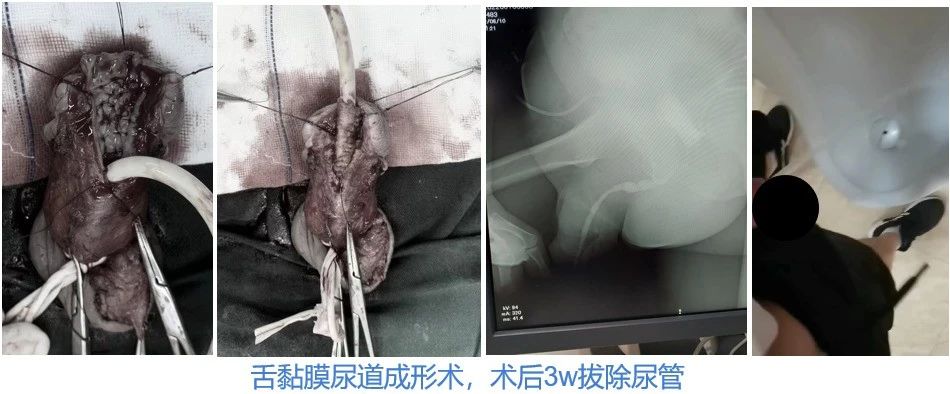 1696837235510345.jpg 微信图片_20231009154021.jpg