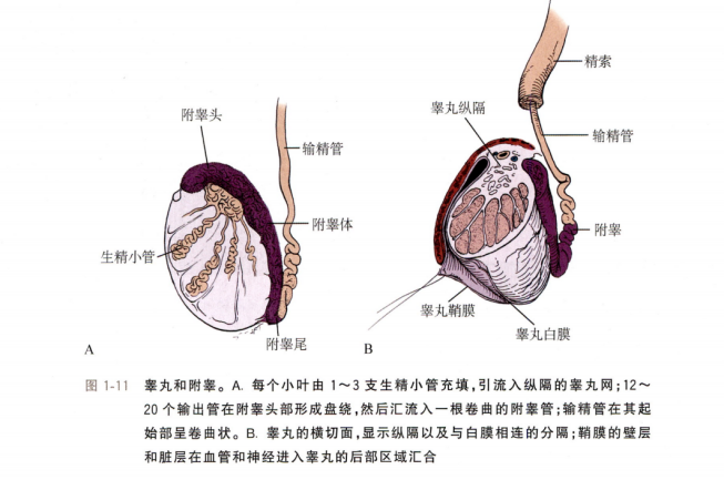 1696838088441033.png 微信图片_20231009155434.png