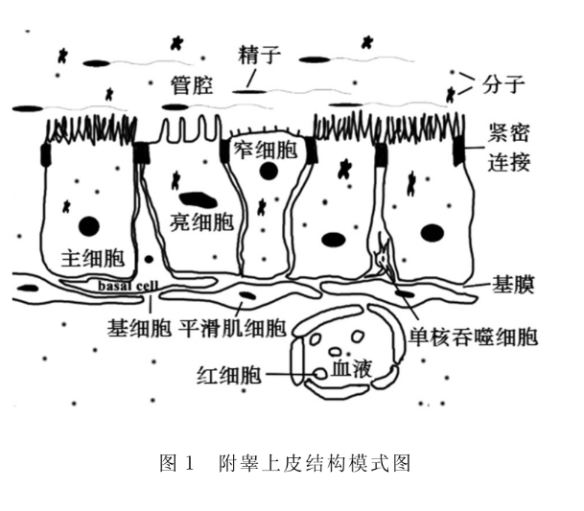 1696838176488523.png 微信图片_20231009155600.png