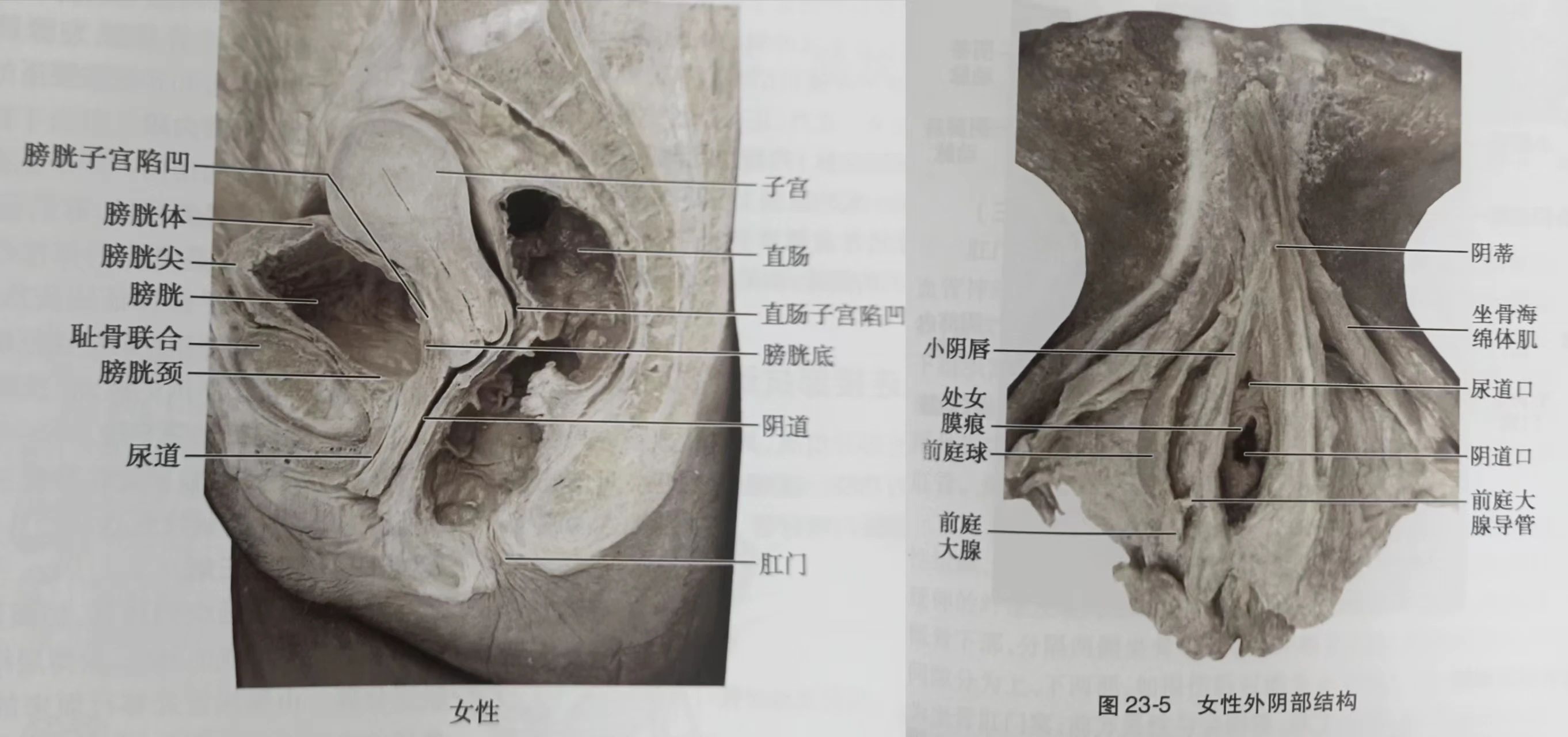 1697682700277305.jpg 微信图片_20231019102928.jpg