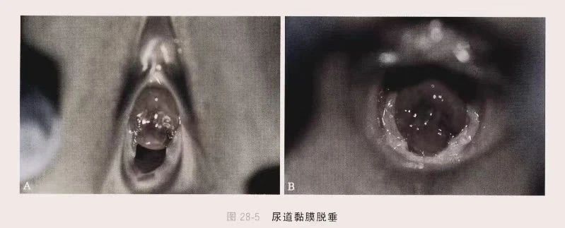 1697682750334219.jpg 微信图片_20231019103213.jpg