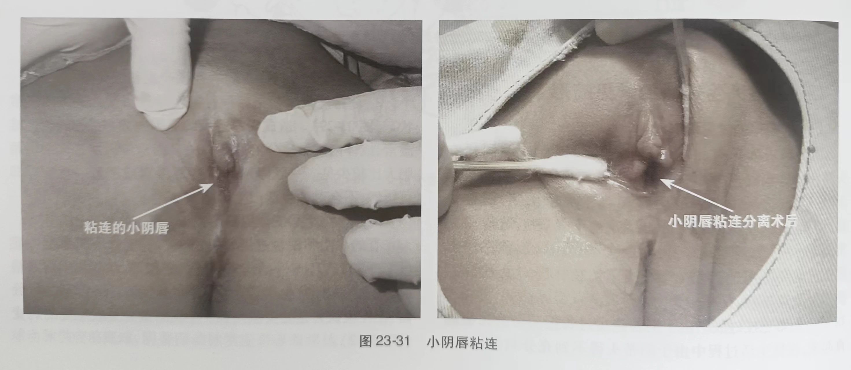 1697682799966690.jpg 微信图片_20231019103256.jpg