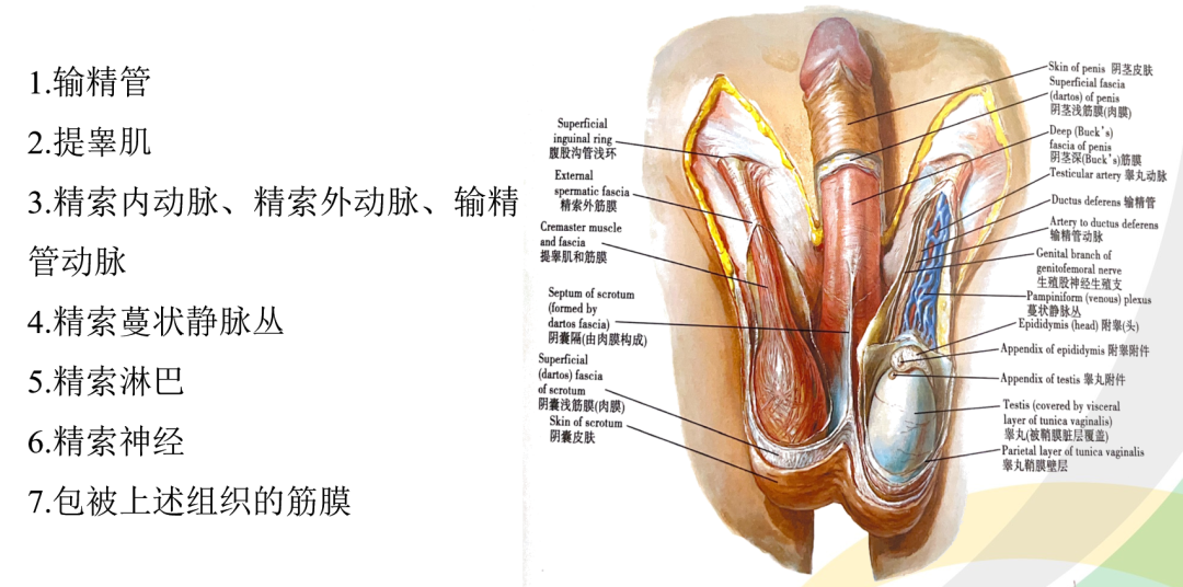 1697683882127920.png 微信图片_20231019105111.png
